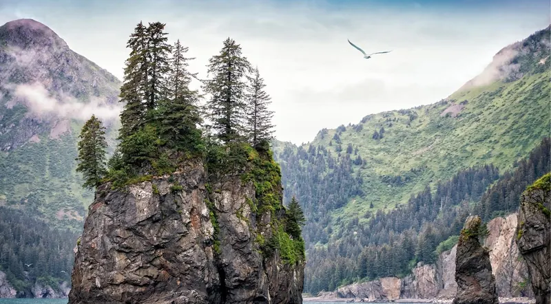 Spruce-topped sea stacks and seabird cliffs along the Kenai Fjords coastline near Seward, Alaska — prime whale and wildlife-watching water