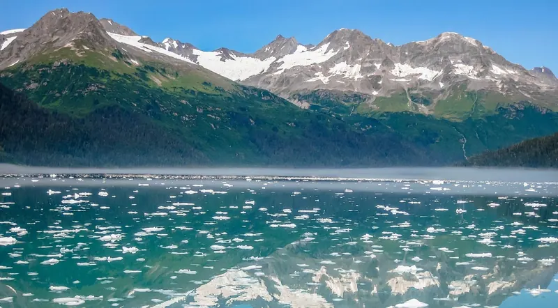 Icebergs drifting below snowy peaks at the head of a remote fjord in Kenai Fjords National Park, Alaska