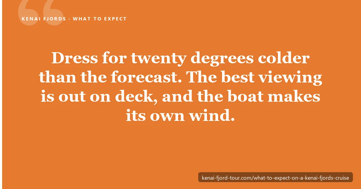 What to expect on a Kenai Fjords cruise — dress for 20 degrees colder than the forecast; the best viewing is on deck